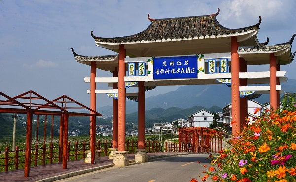 葡萄種植園區(qū)