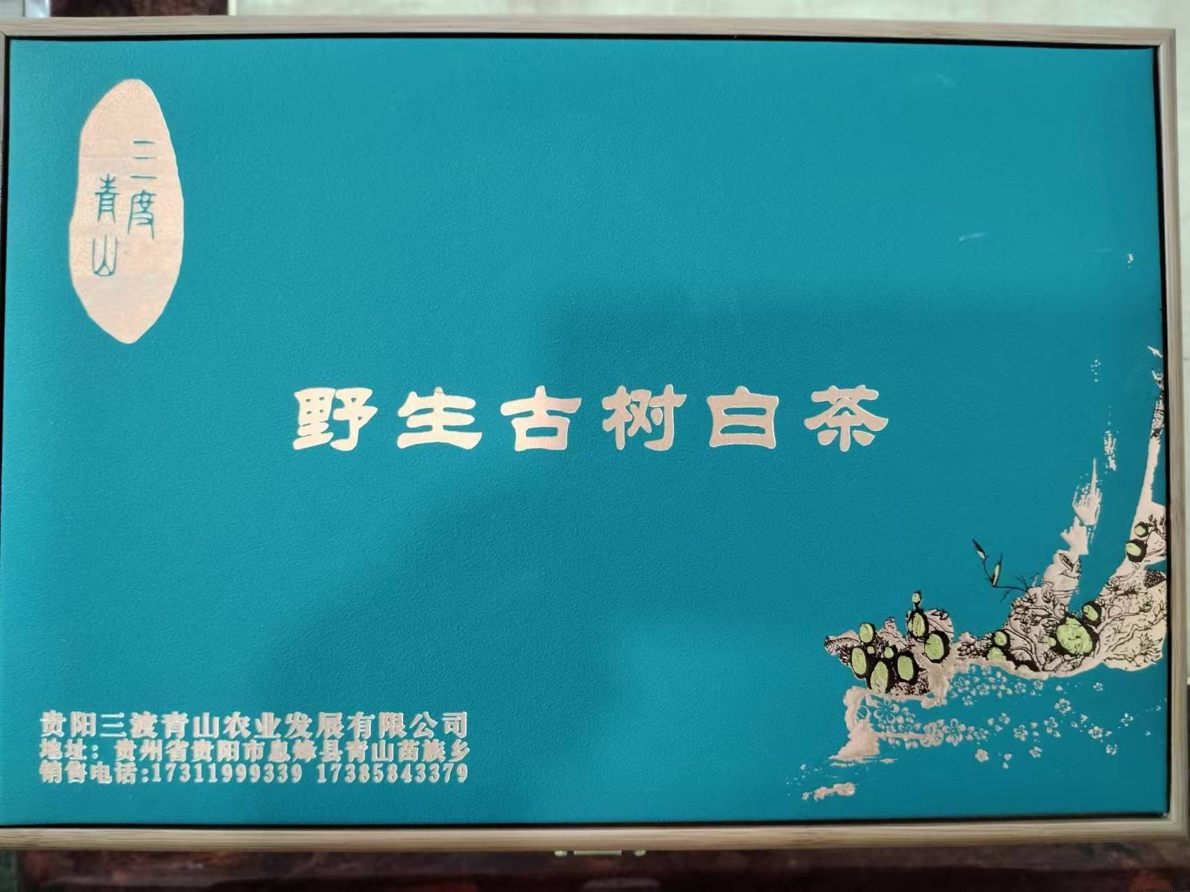 野生古树白茶