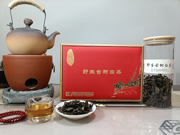 识君·野生古树白茶