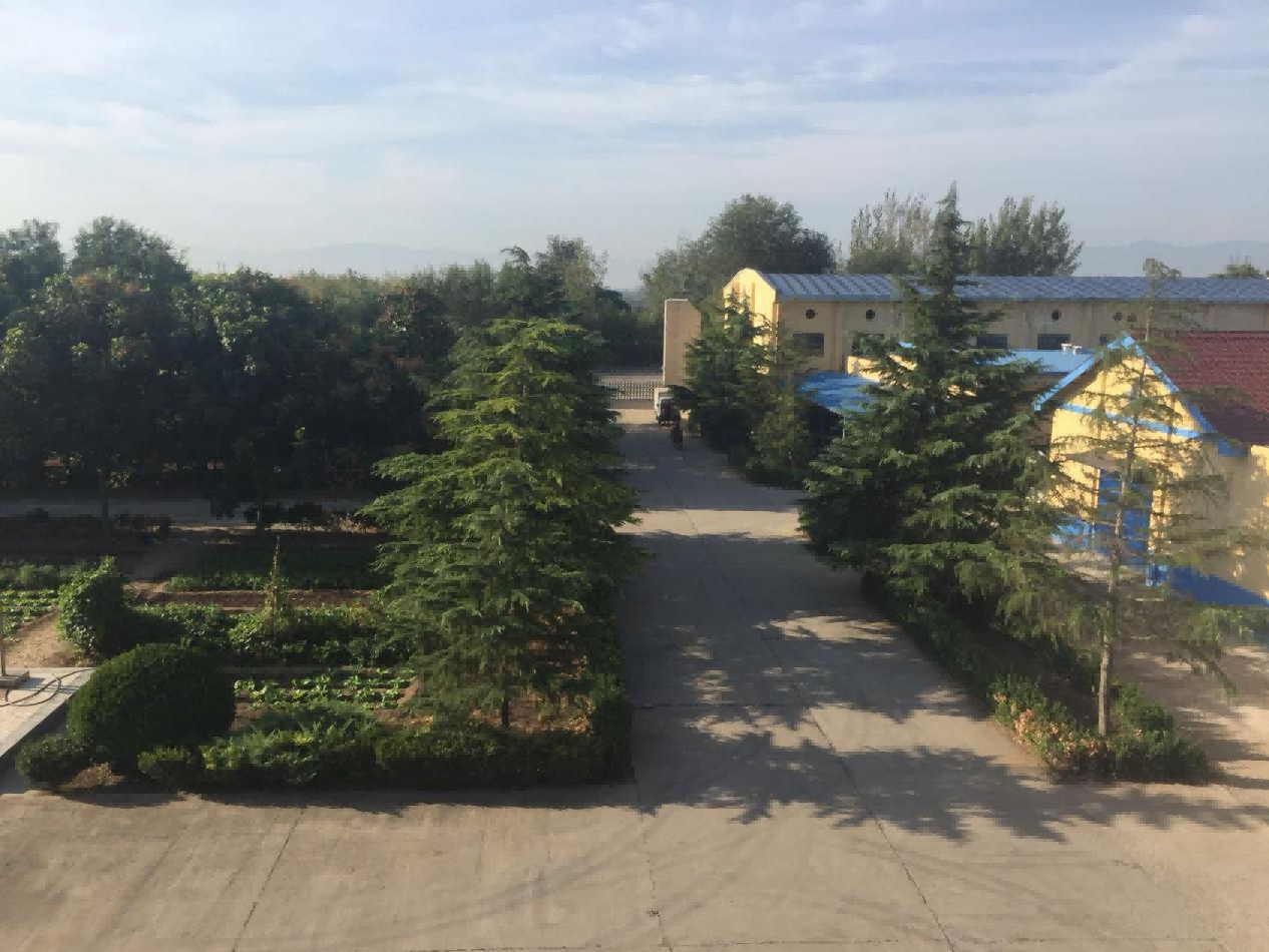 工廠全景