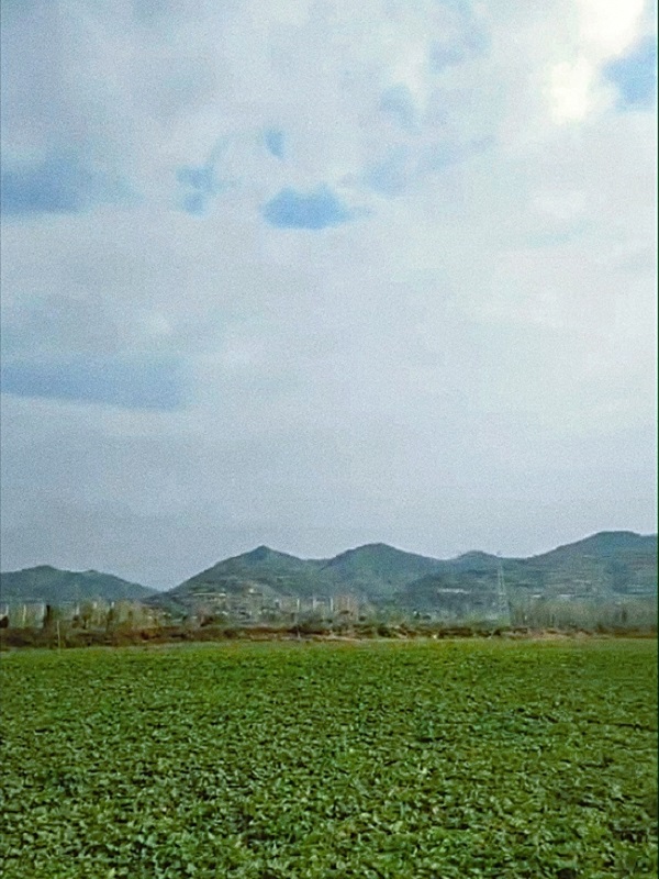 种植基地