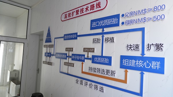 企业风采