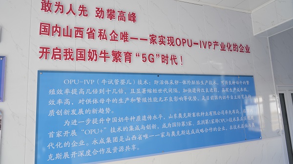企业风采