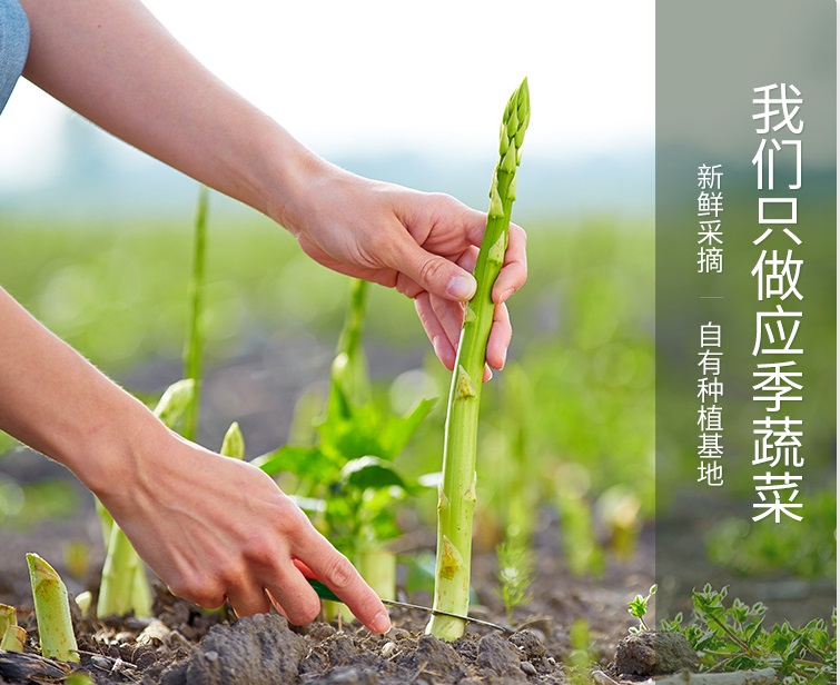 种植基地