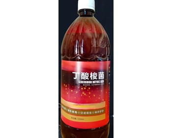 湖北丁酸梭菌