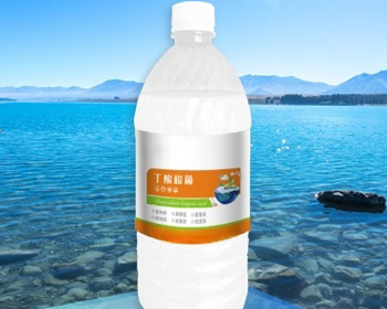 湖北丁酸梭菌