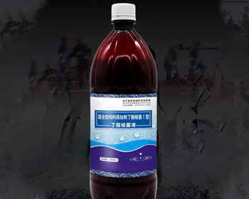 湖北丁酸梭菌