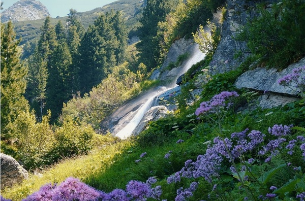 翠云山泉：水源地的生態(tài)畫(huà)卷