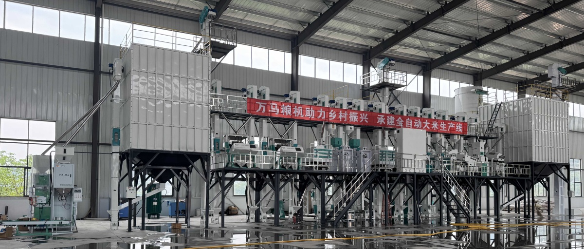 承建南充25T大米生产线