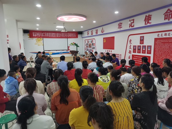 企业风采