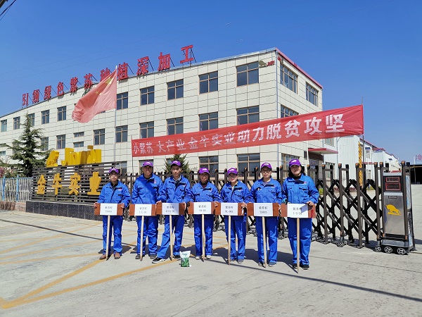 企业风采