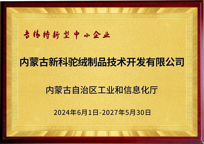 专精特新型中小企业