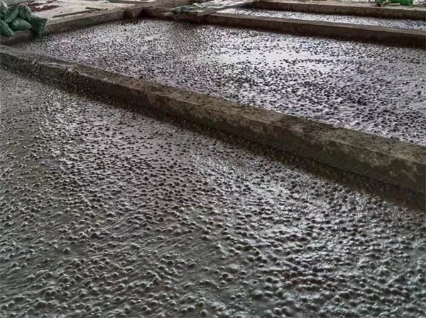 广东陶粒混凝土
