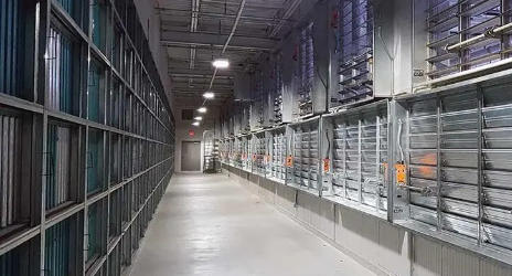 贵州服务器网站无法访问怎么回事？