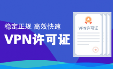 国内互联网虚拟专用网业务