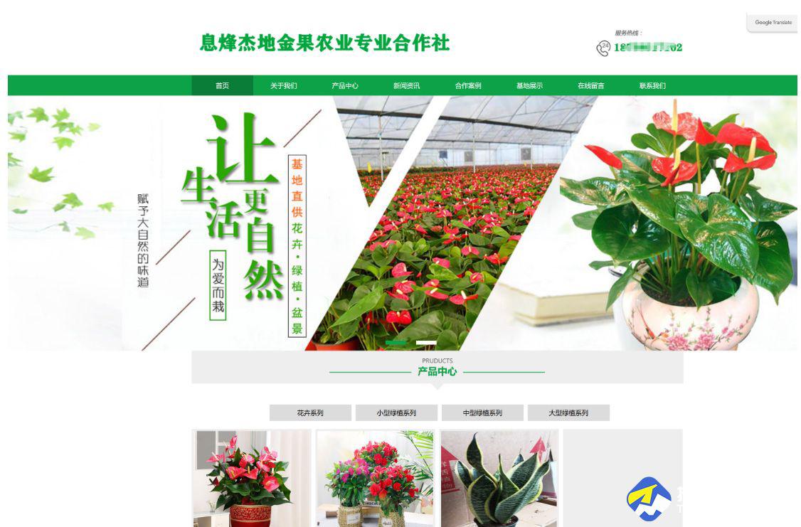 拓玛案例：杰地金果农业