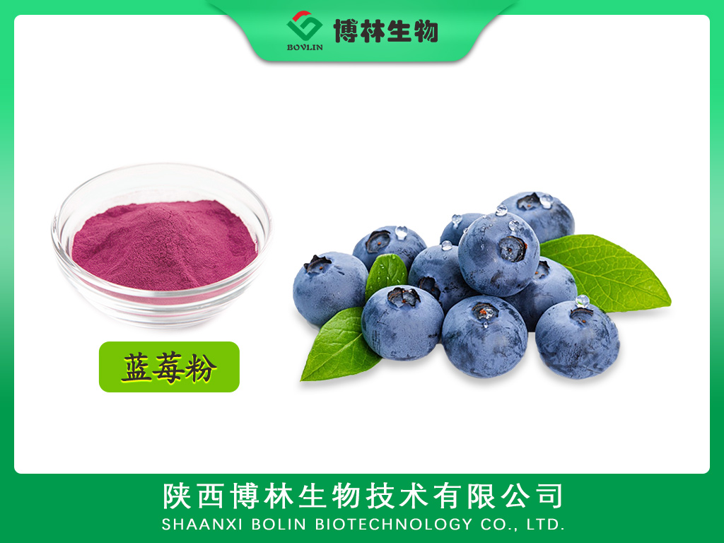 蓝莓粉提取物的营养价值与健康功效