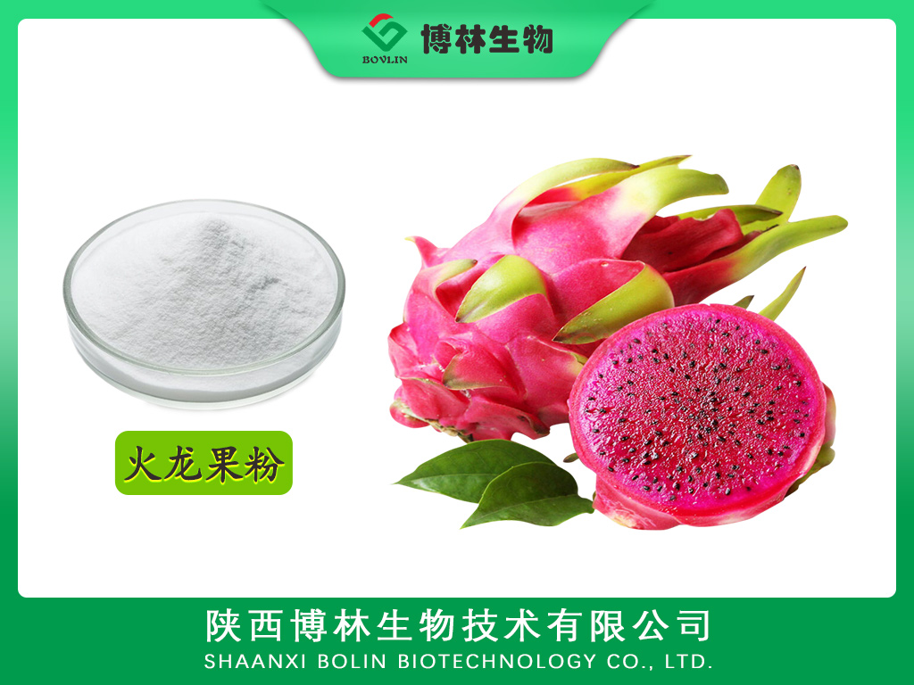 火龙果粉