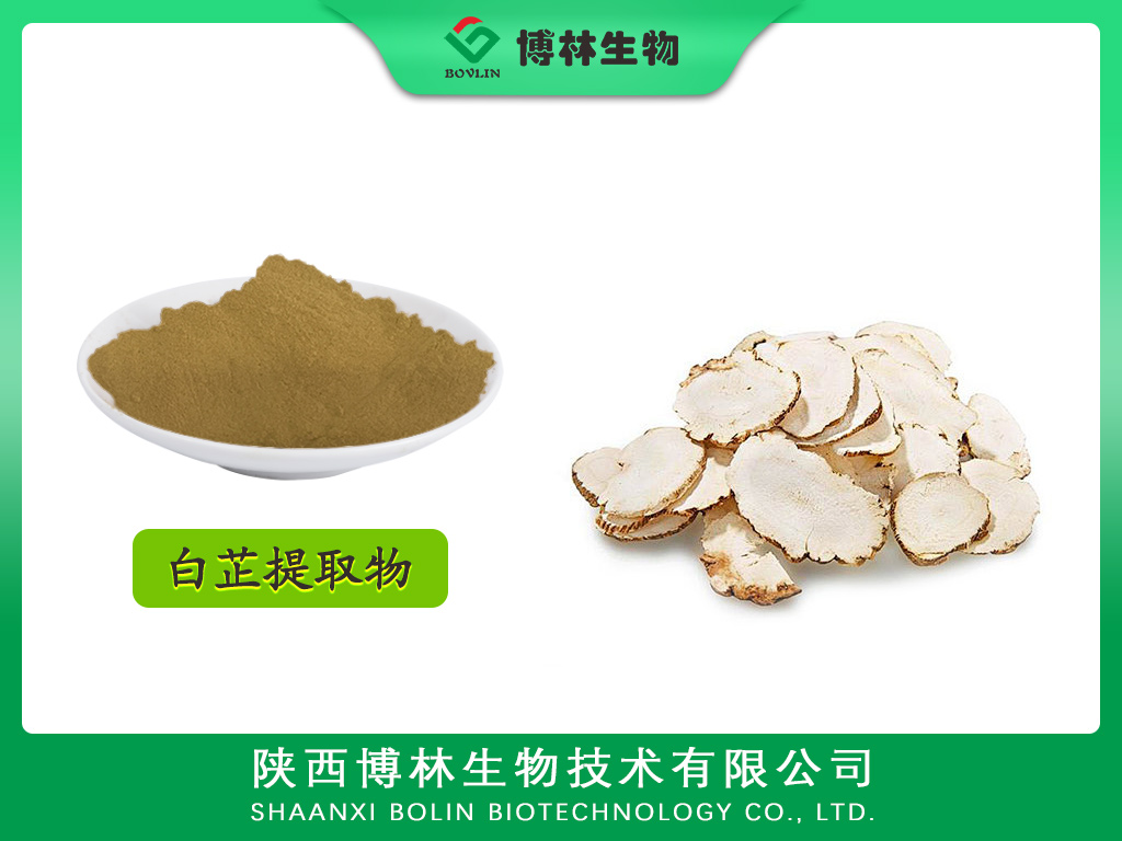 白芷提取物