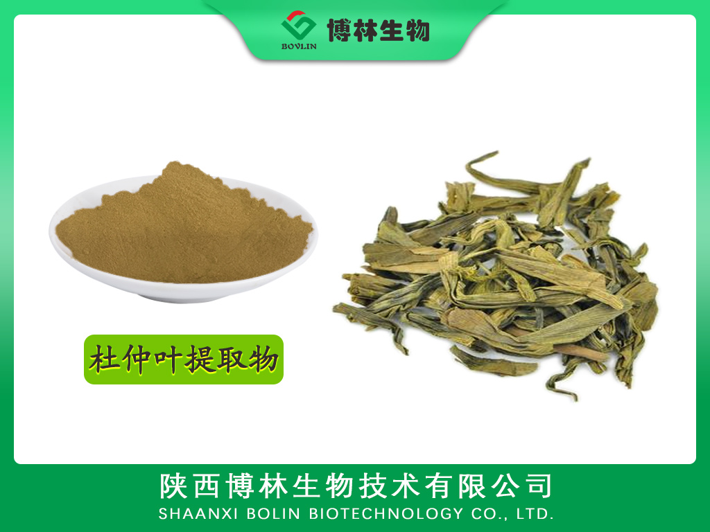 杜仲叶提取物