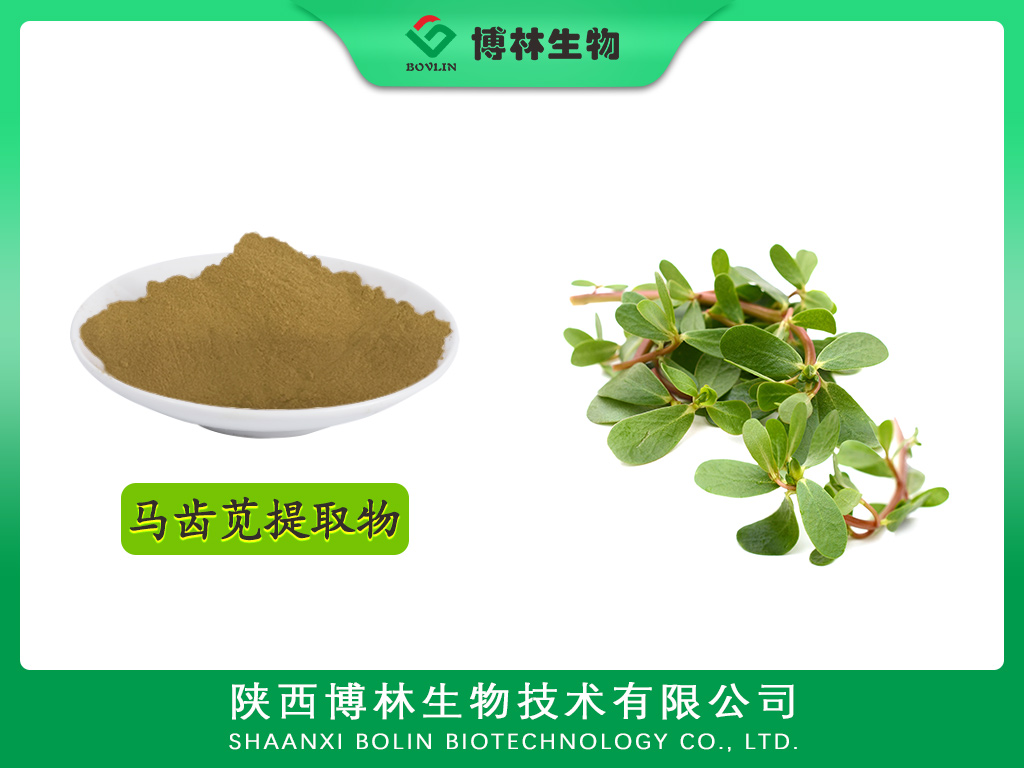 马齿苋提取物