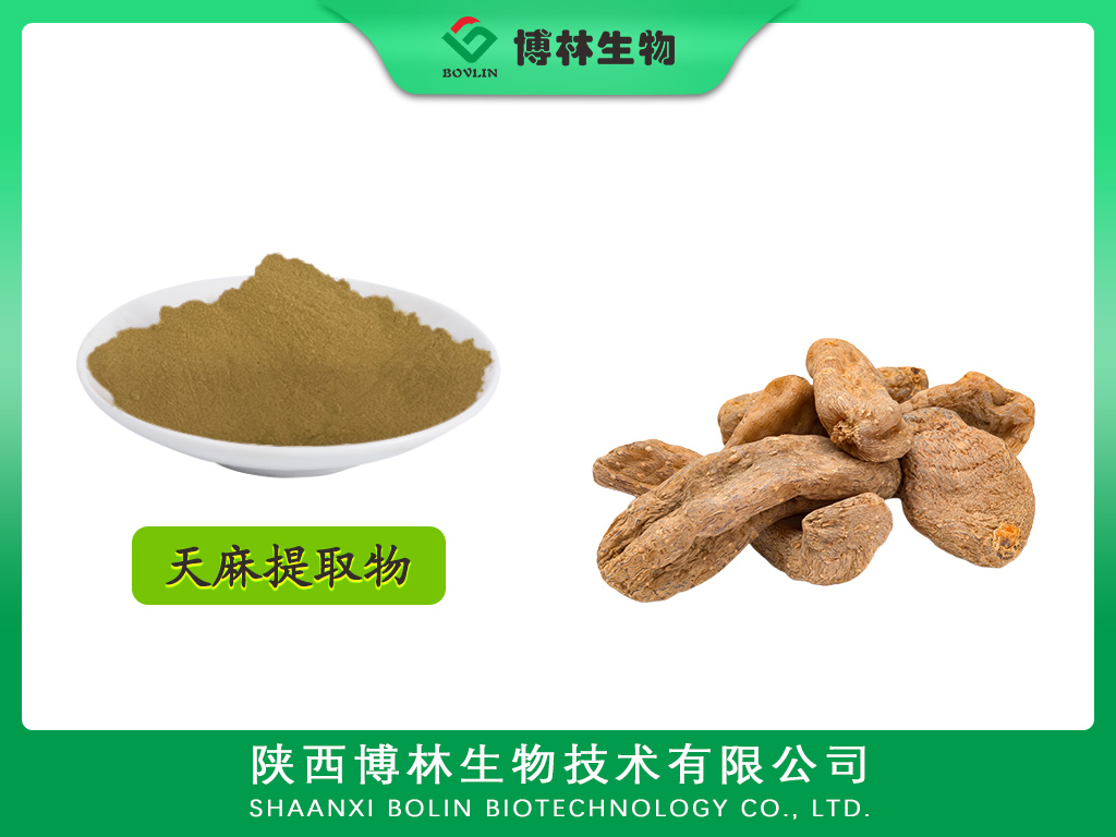 天麻提取物