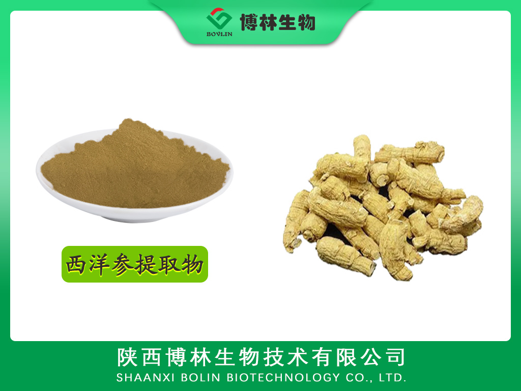 西洋参提取物