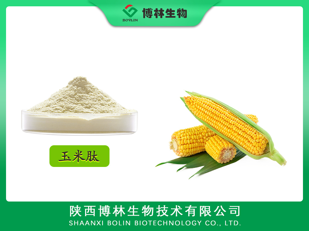 玉米肽