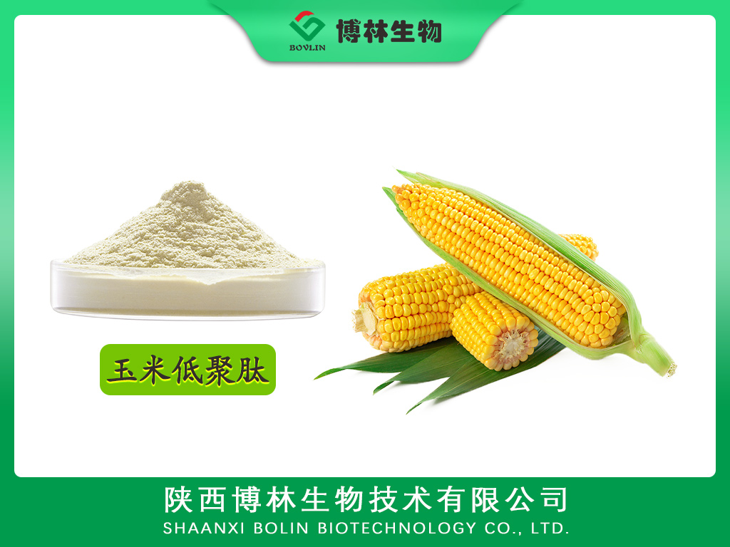玉米低聚肽