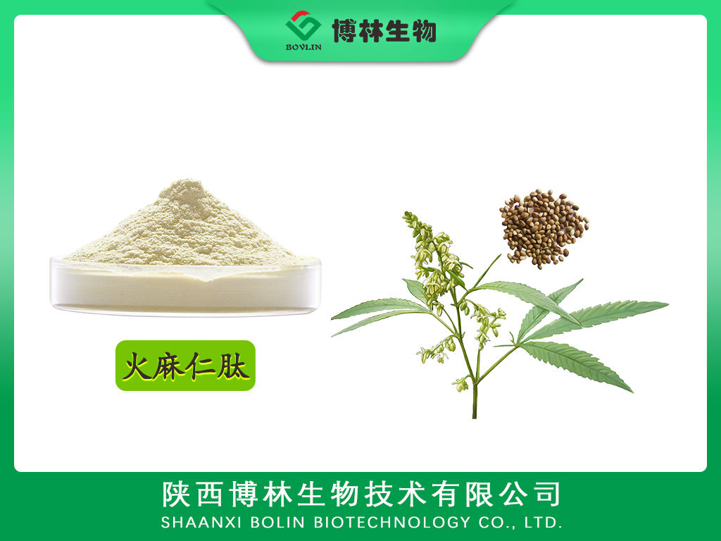 火麻仁肽