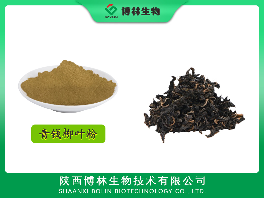 青钱柳叶粉