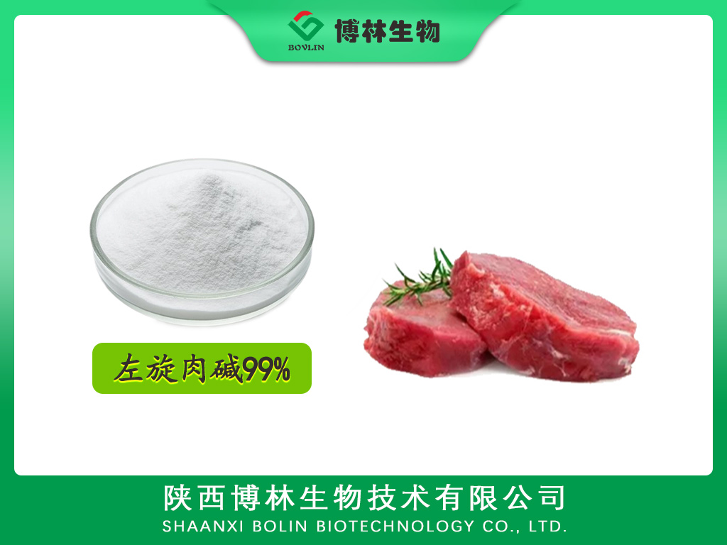 左旋肉碱99%