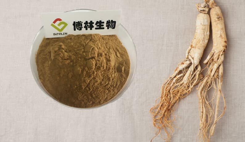 人参提取物：传承千年的天然活性宝库，开启健康产业新蓝海