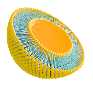 脂質體原料：工藝精研賦能，解鎖大健康領域多元價值