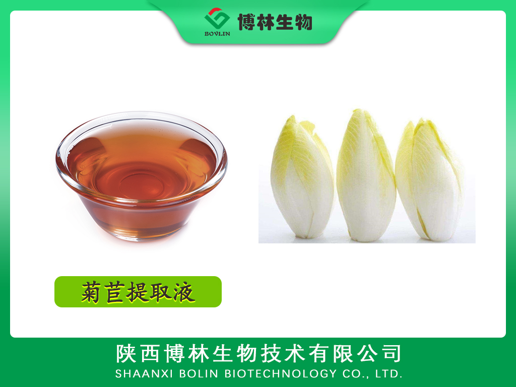 菊苣提取液