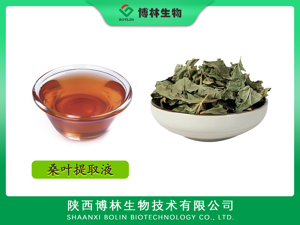 桑叶提取液