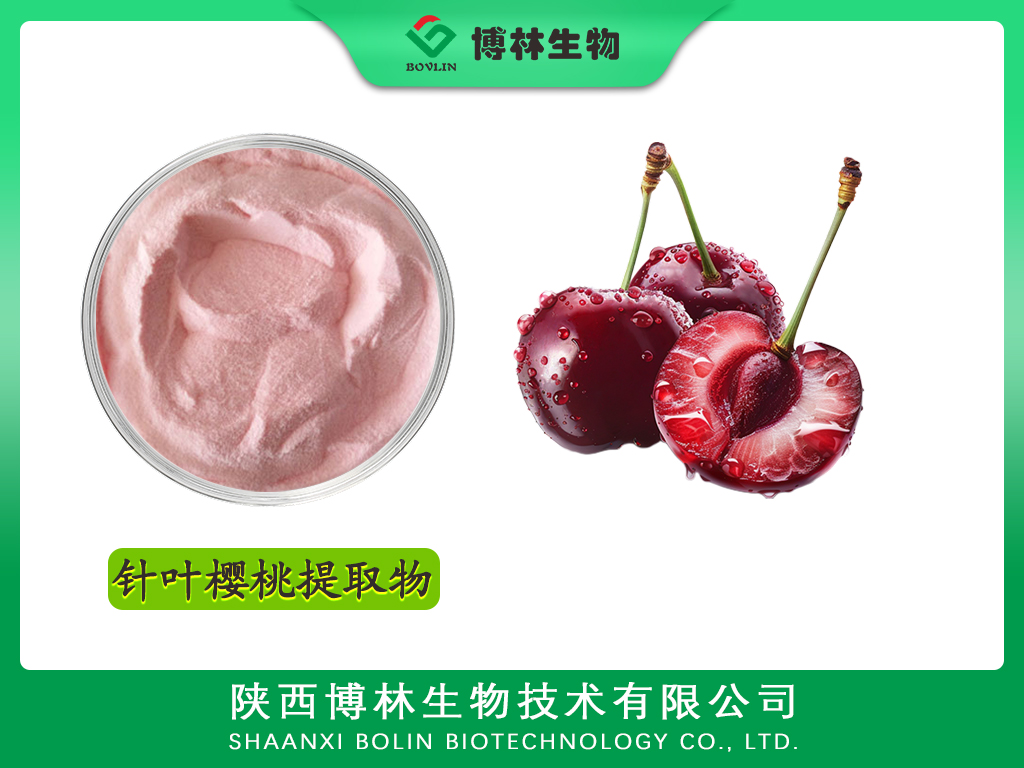 针叶樱桃提取物