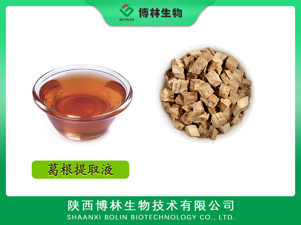葛根提取液