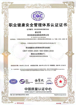 职业健康安全管理证书