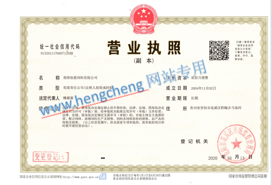 企业法人营业执照