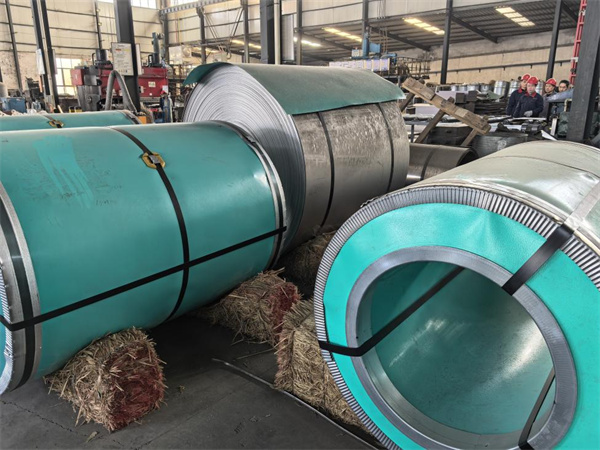 江蘇XX有限公司鎳卷案例