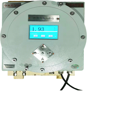 西安防爆氧气分析仪