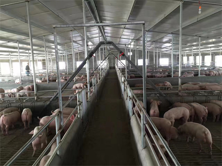河南养猪设备厂家_猪场液态饲喂系统价格_新乡自动供料系统供应